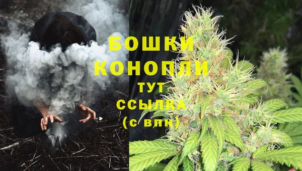 прущий лед Инта