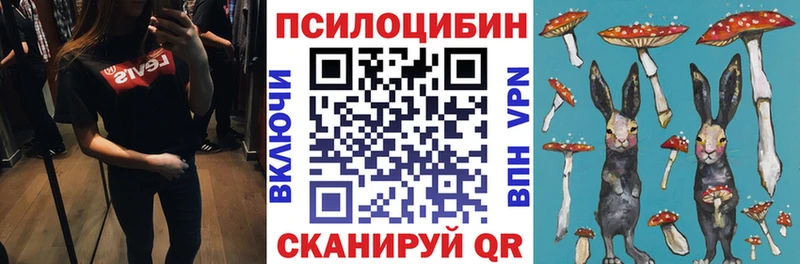 Купить  Гвардейск  Псилоцибиновые грибы ЛСД 